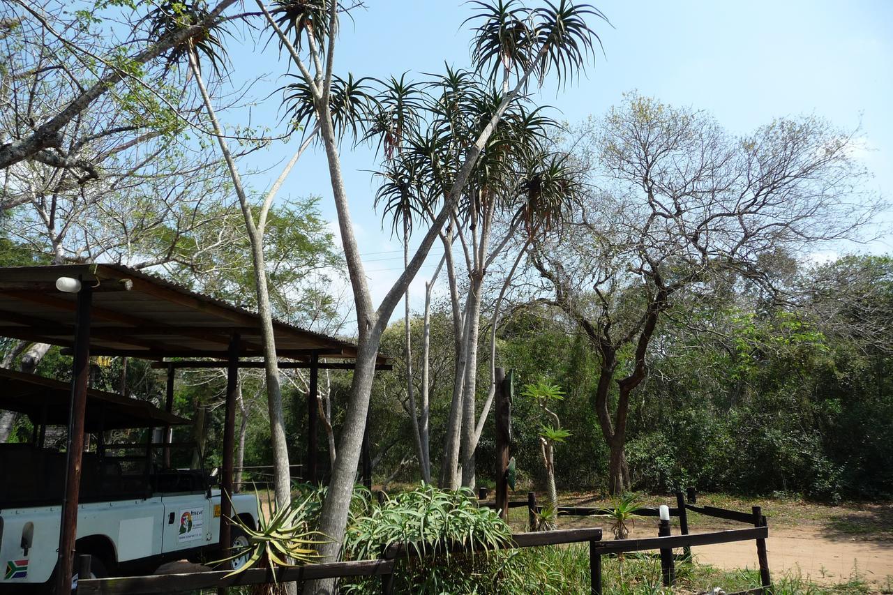 Villa Isinkwe Bush Camp Hluhluwe Exterior foto