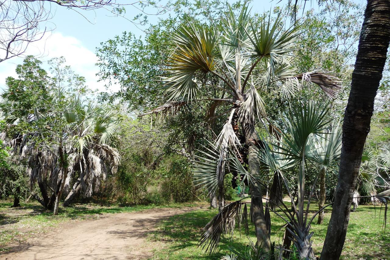 Villa Isinkwe Bush Camp Hluhluwe Exterior foto